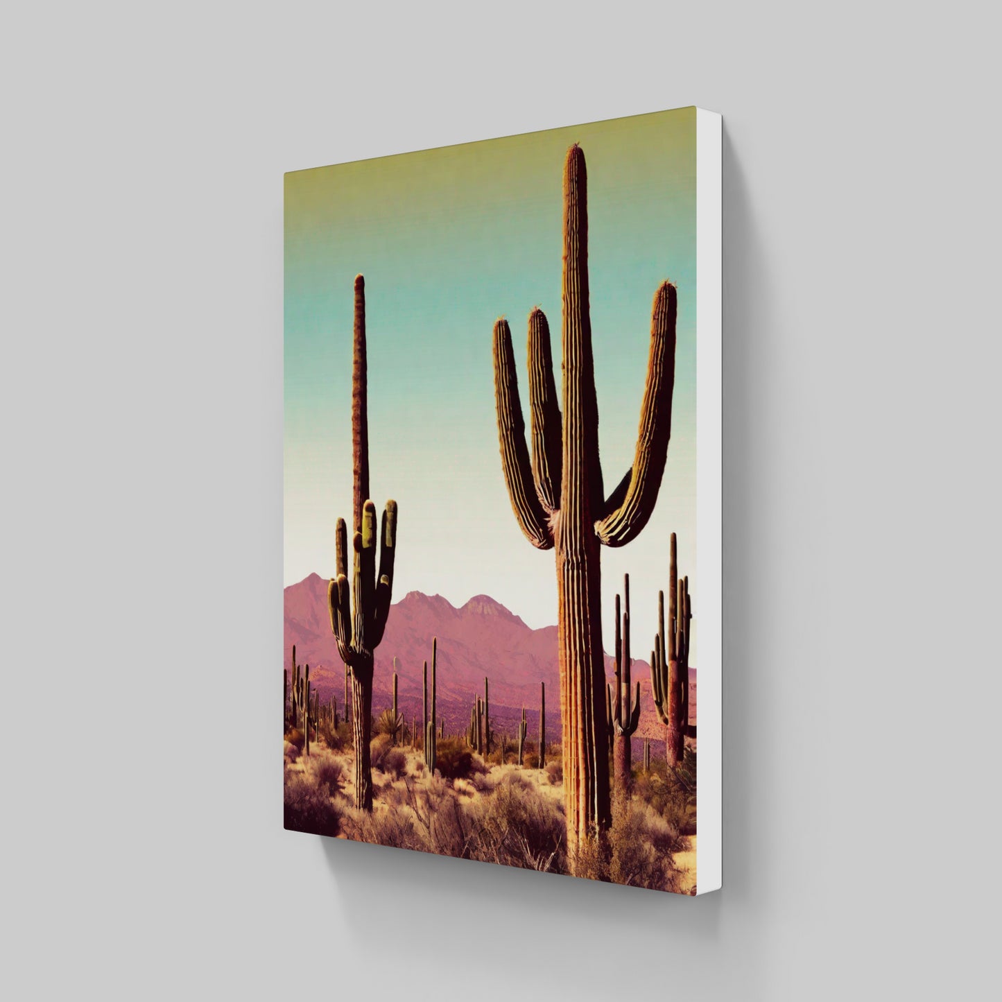 Cactus Cool